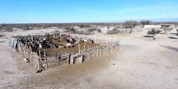 Lagunas de Guanacache\u002E