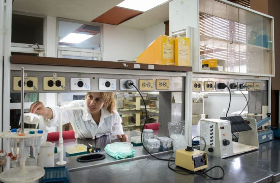 Biotecnología, la nueva especialidad que tendrá la secundaria en Córdoba