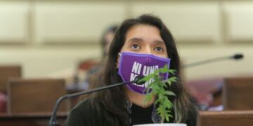 Con una planta de marihuana en pleno recinto, Diputados dio media sanción al autocultivo de cannabis medicinal (@donnetagustina)