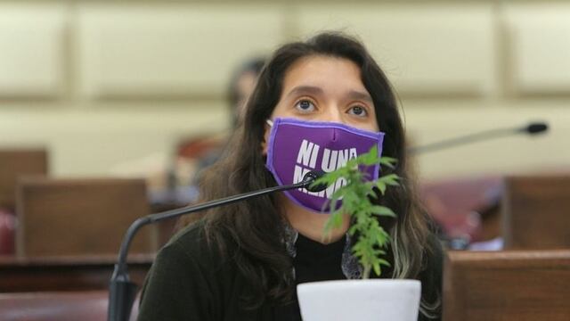 Con una planta de marihuana en pleno recinto, Diputados dio media sanción al autocultivo de cannabis medicinal (@donnetagustina)