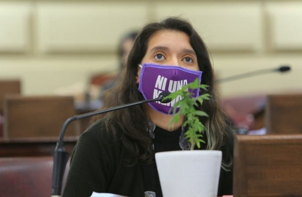 Con una planta de marihuana en el recinto, Diputados aprobó el autocultivo de cannabis medicinal