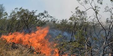 Ya se iniciaron diez causas judiciales por incendios forestales\u002E