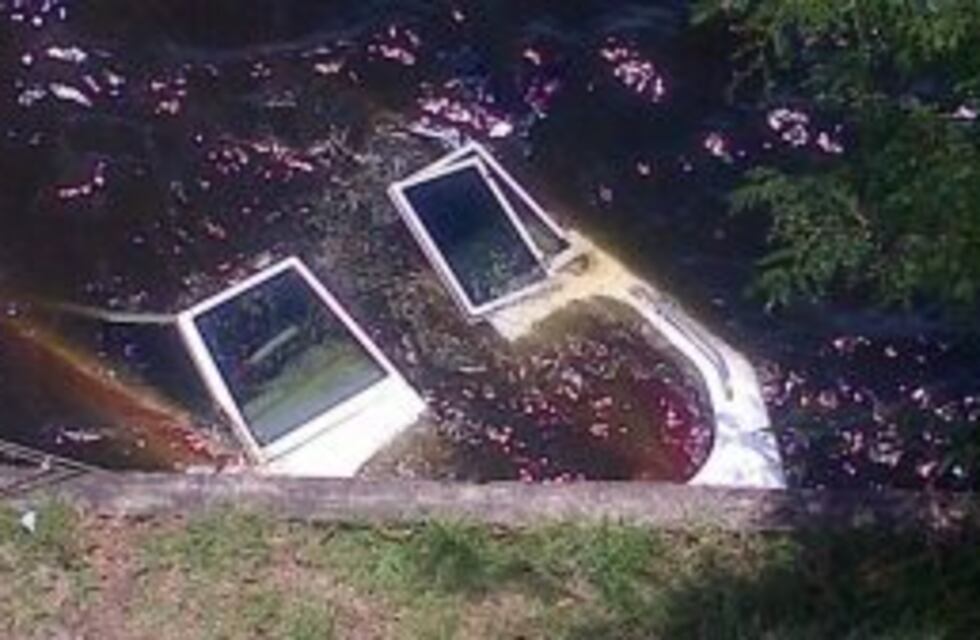 Se les hundió la lancha mientras estaban en una fiesta