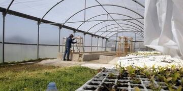 emprendedores mendoza