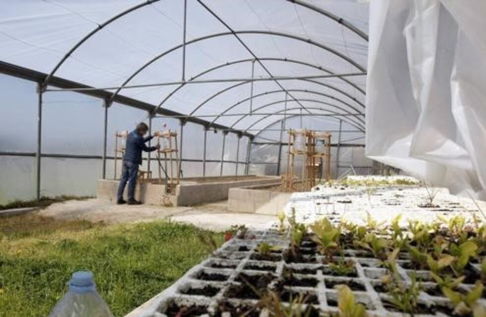 Convocan a emprendedores mendocinos para desarrollar sus proyectos