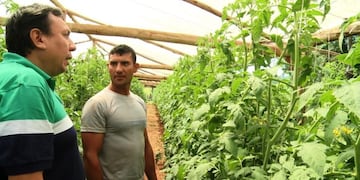 Mercado concentrador en Eldorado\u002E