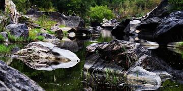 Reserva Natural Bamba, La Calera\u002E