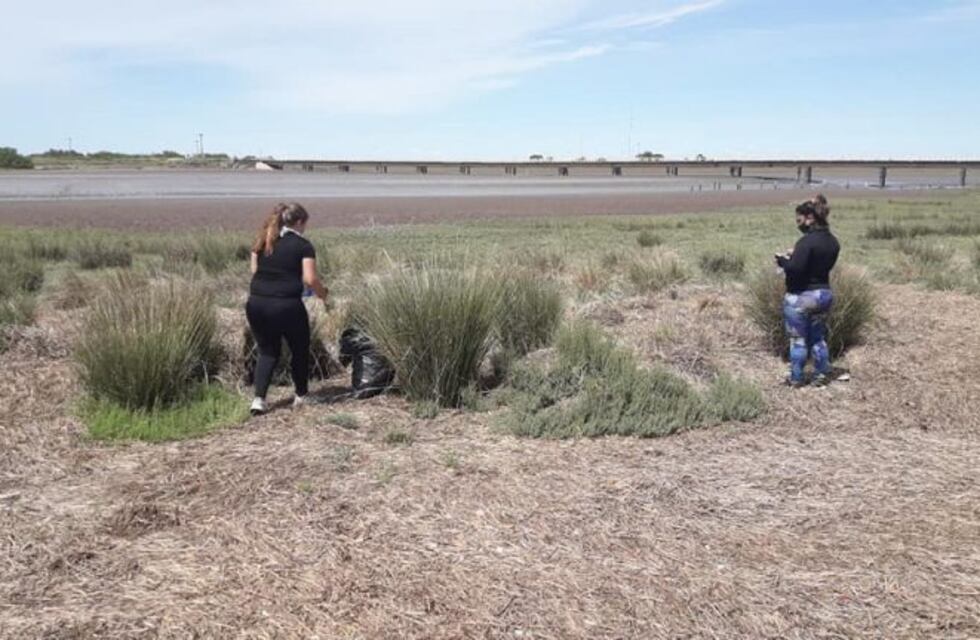Se realizará el séptimo censo de residuos costeros