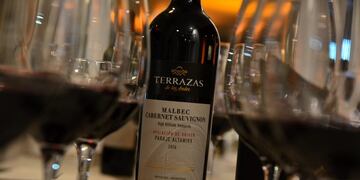 La línea Apelación de Origen de Terrazas de los Andes\u002E