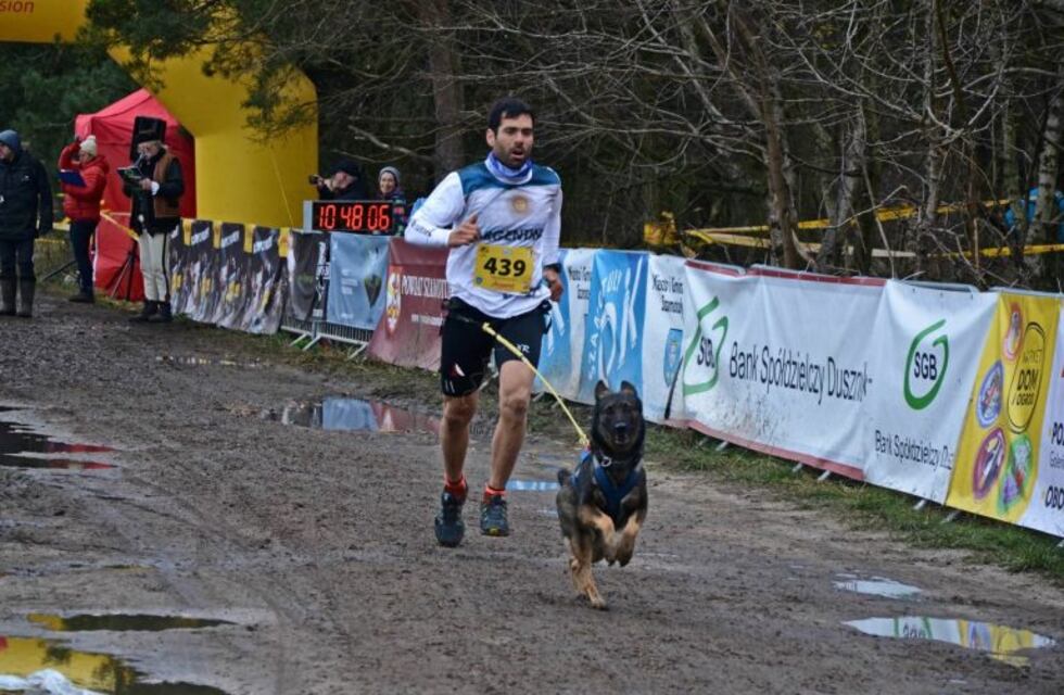 Contra el maltrato animal, integrar al perro a tu vida: consejos de un experto