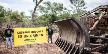 Greenpeace contra los desmontes