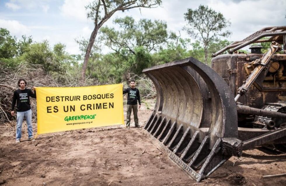 Para Greenpeace, los desmontes son la principal causa de la crisis que atraviesan los wichís