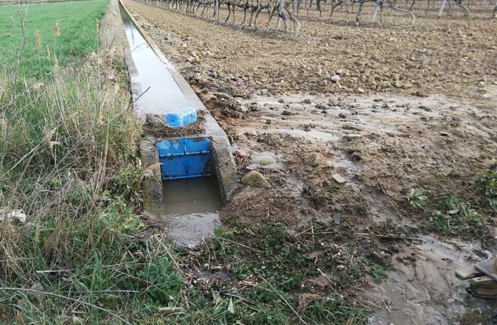 Crisis hídrica en Mendoza: piden optimizar el uso del agua para riego
