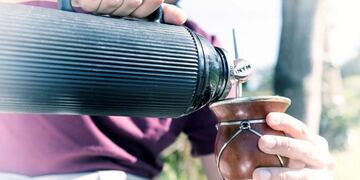 Consumo de yerba mate\u002E (INYM)