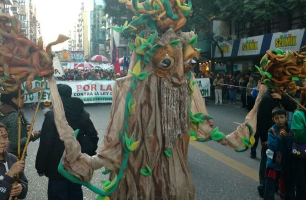 Multitudinaria marcha a favor del Bosque Nativo