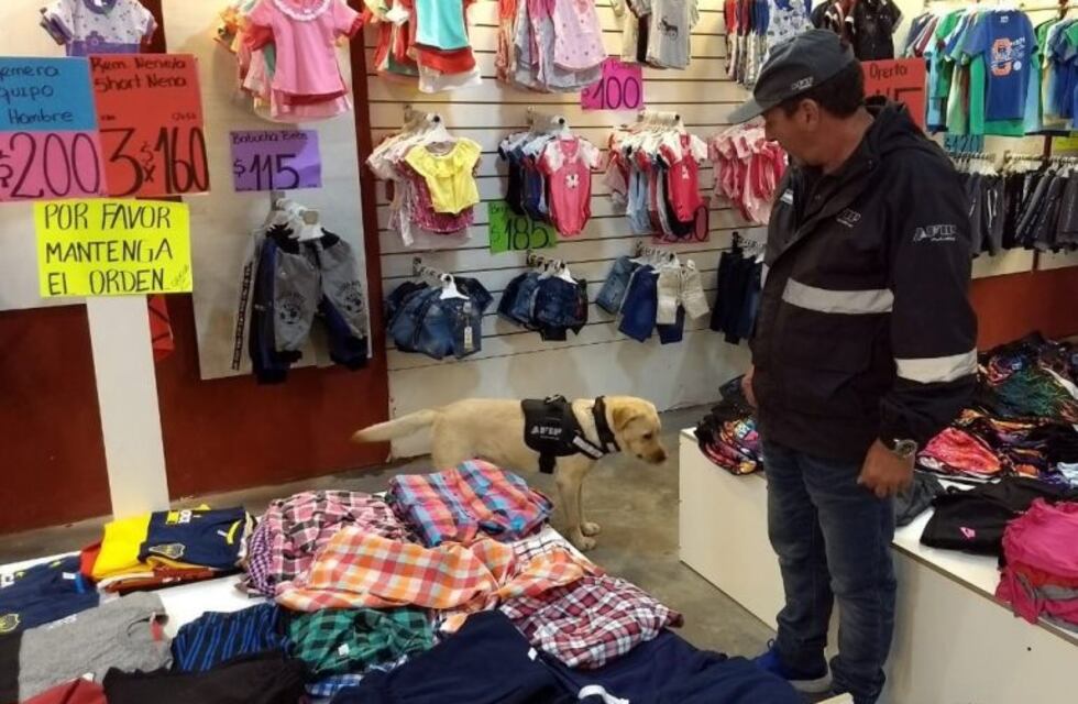 La AFIP allanó 43 domicilios en cinco provincias en una causa por evasión