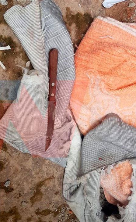 El cuchillo encontrado durante el allanamiento al galpón del abuelo del único detenido. (TN)