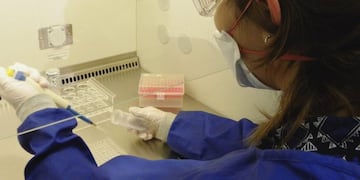 Los especialistas se desmepeñan en organismos dependientes de Conicet Rosario\u002E (Conicet Rosario)