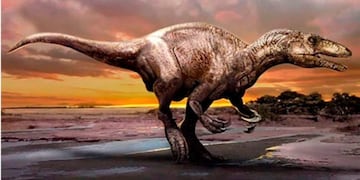 Santa Cruz: Investigadores del Museo de Ciencias Naturales hallaron un megarraptor