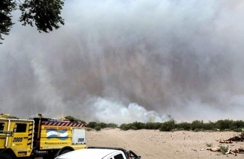 Se reavivó el fuego en el sur de Mendoza