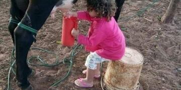 Una nena ordeñando fue la imagen viral del fin de semana
