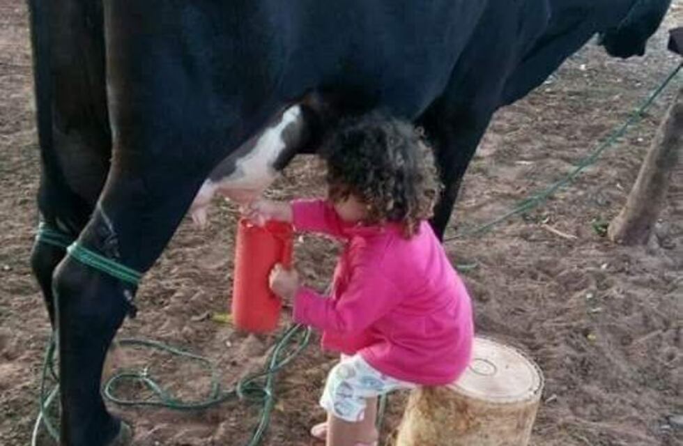 Una nena ordeñando fue la imagen viral del fin de semana