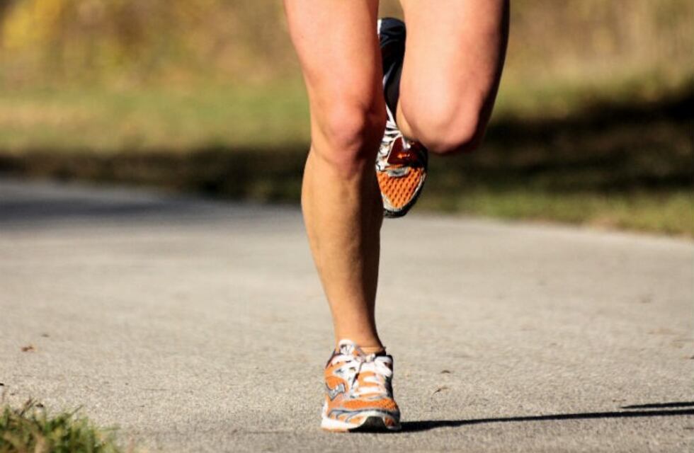 Runners: cómo se comportan y qué hacen