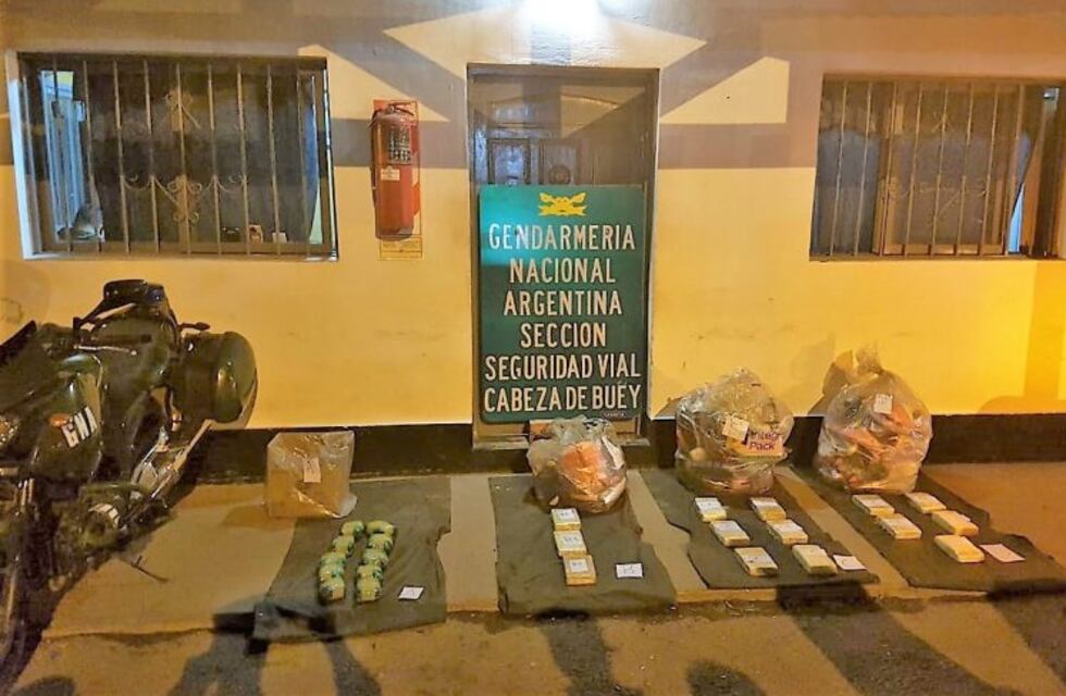 Tyler, un eficaz perro gendarme, detectó 15 kilos de cocaína en un colectivo