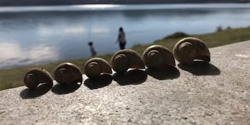 Dique La Ciénaga, Jujuy