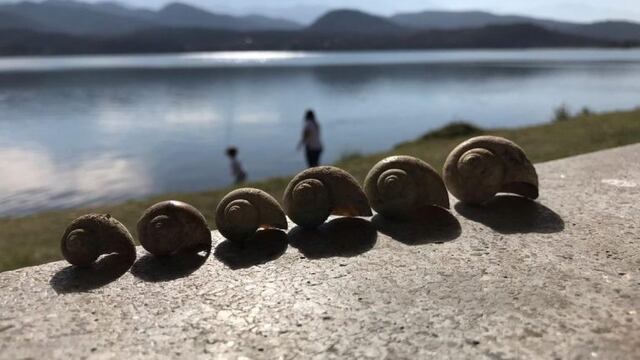 Dique La Ciénaga, Jujuy