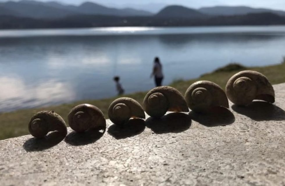 Turismo interno: los lugares más lindos para visitar en los valles de Jujuy