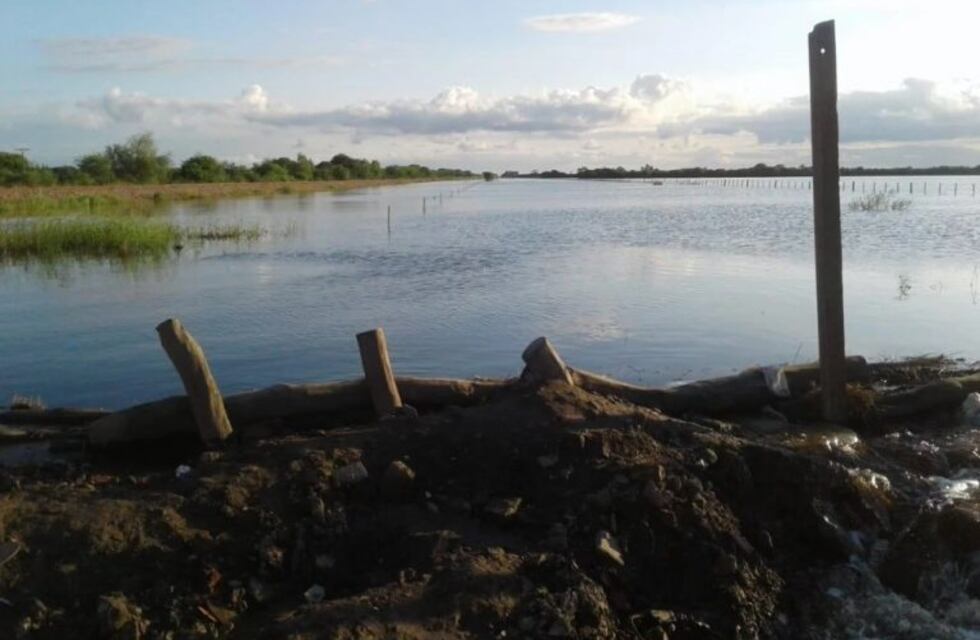 Nación declaró la emergencia agropecuaria en Santa Fe