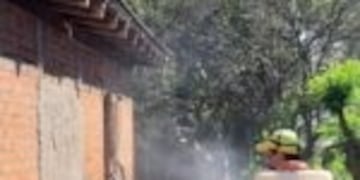 Fumigaron y rociaron espacios además de realizar un tratamiento biológico en barrios del Kilómetro 4 de Eldorado\u002E (Min\u002E de Salud)