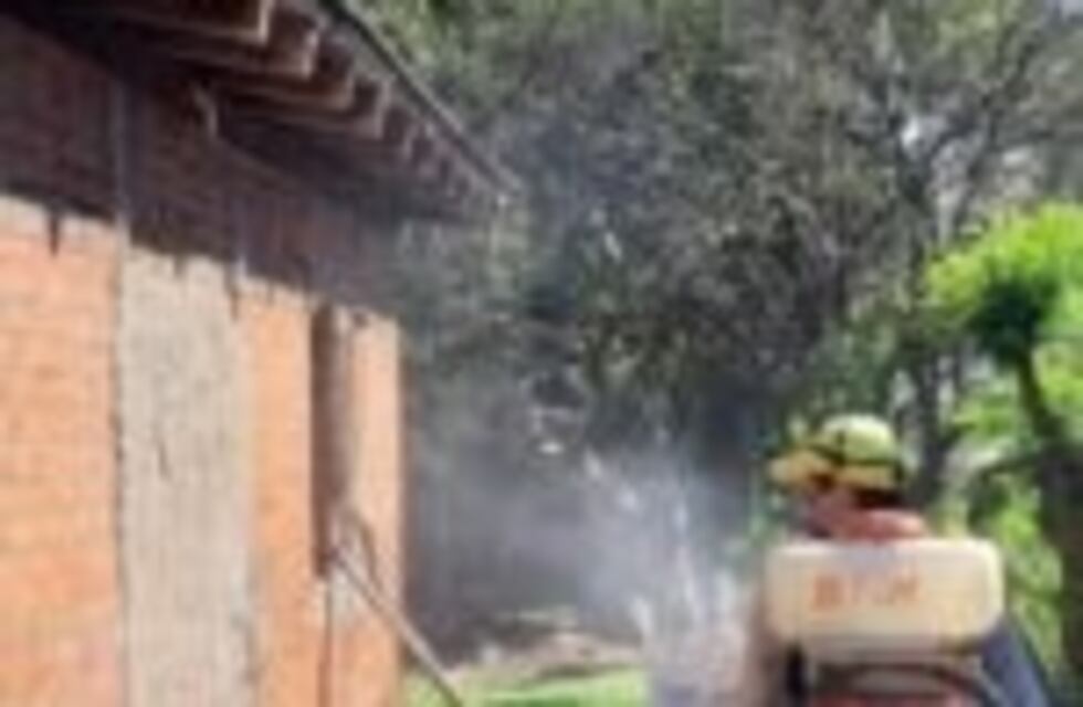 Fumigación contra el Aedes aegypti en barrios de Eldorado para cortar el circuito del dengue