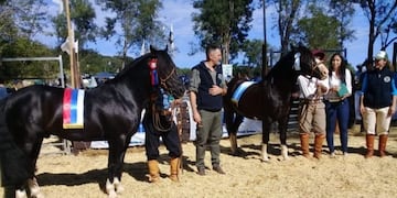 Mejora de los animales menores en Misiones\u002E (MisionesOnline)