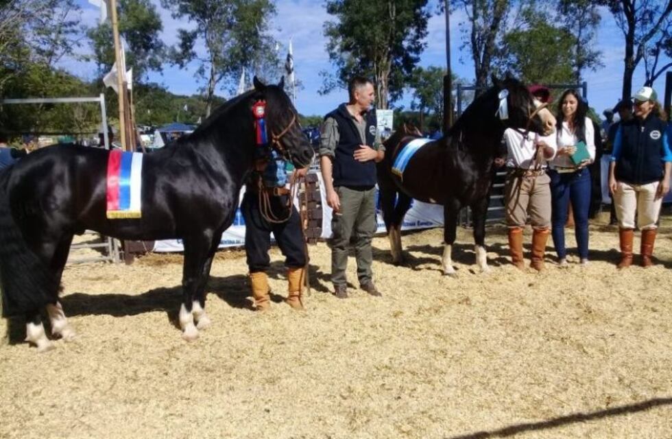 La genética mejora los caprinos y ovinos del sur de Misiones