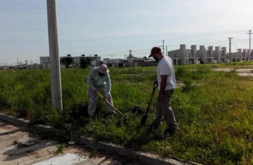 Cansados de pedir a la Municipalidad, vecinos cortaron pastizales