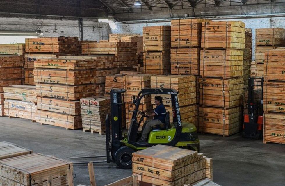 Proyectan construir en Corrientes el aserradero mas grande del país