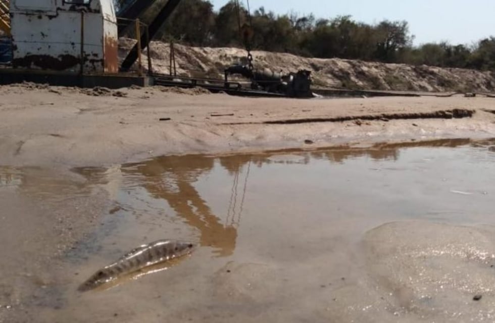 El Icaa caratuló las consecuencias del dragado del Riachuelo como "temporales"