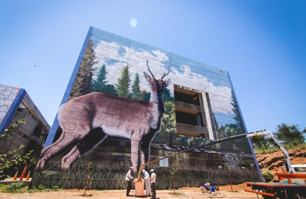 Pinta San Luis transformó paredes en toda la provincia