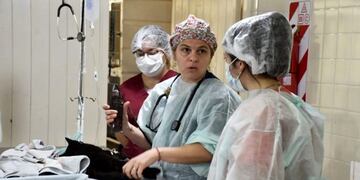 Castraciones en General Pico (Diario Textual)