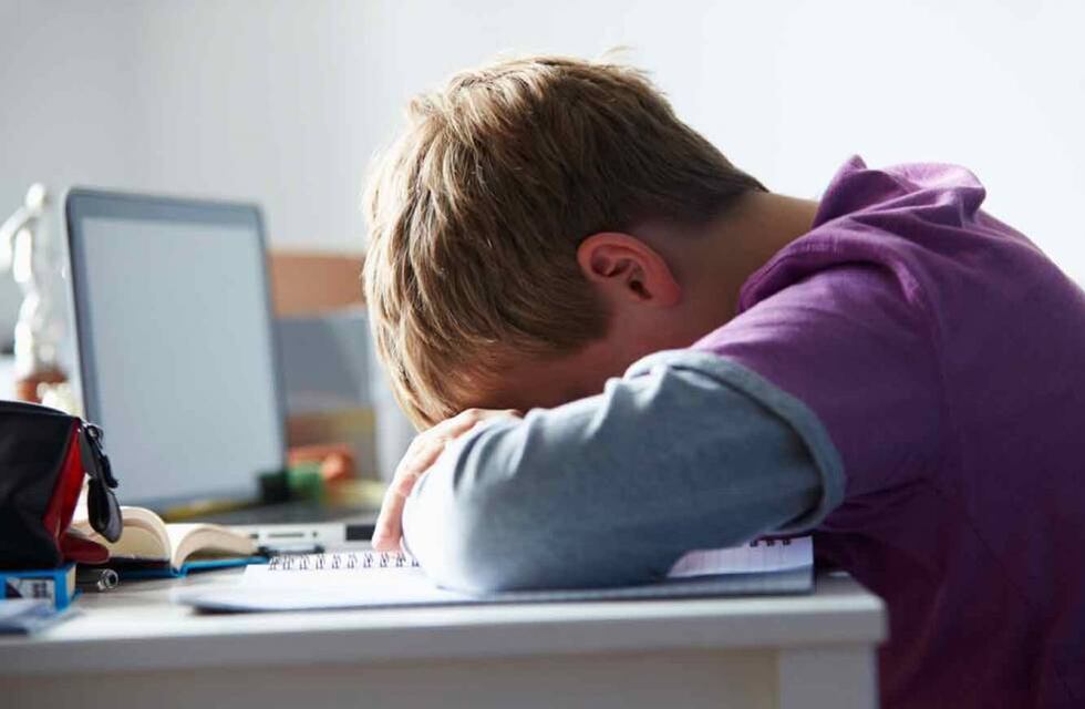 Bullying y ciberbullying: ¿dónde denunciar acoso escolar en Mendoza?