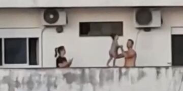 Bebé caminando por la cornisa (Web)