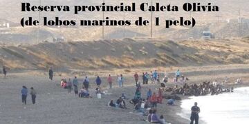 Recomendación de la Fundación Cadace para este verano