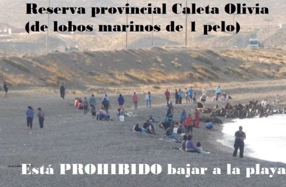 Recomendación de la Fundación Cadace para este verano