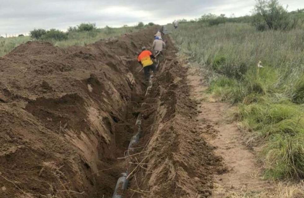 Mendoza apuesta a la ganadería: construirá acueductos para vacas