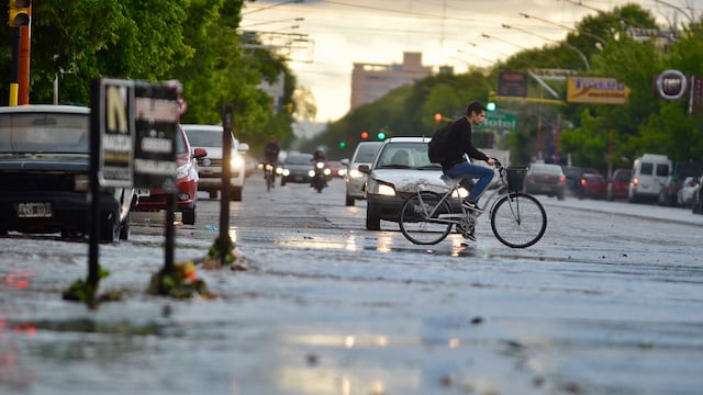 Una fuerte tormenta de granizo castigó al sur provincial
