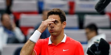 Juan Martin del Potro (AP Photo/Andy Wong)