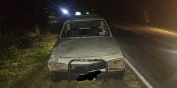 Chocó un animal suelto