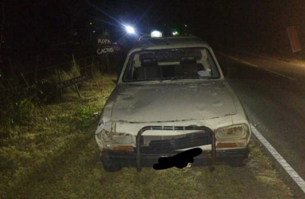 Un vehículo chocó un caballo en la ruta